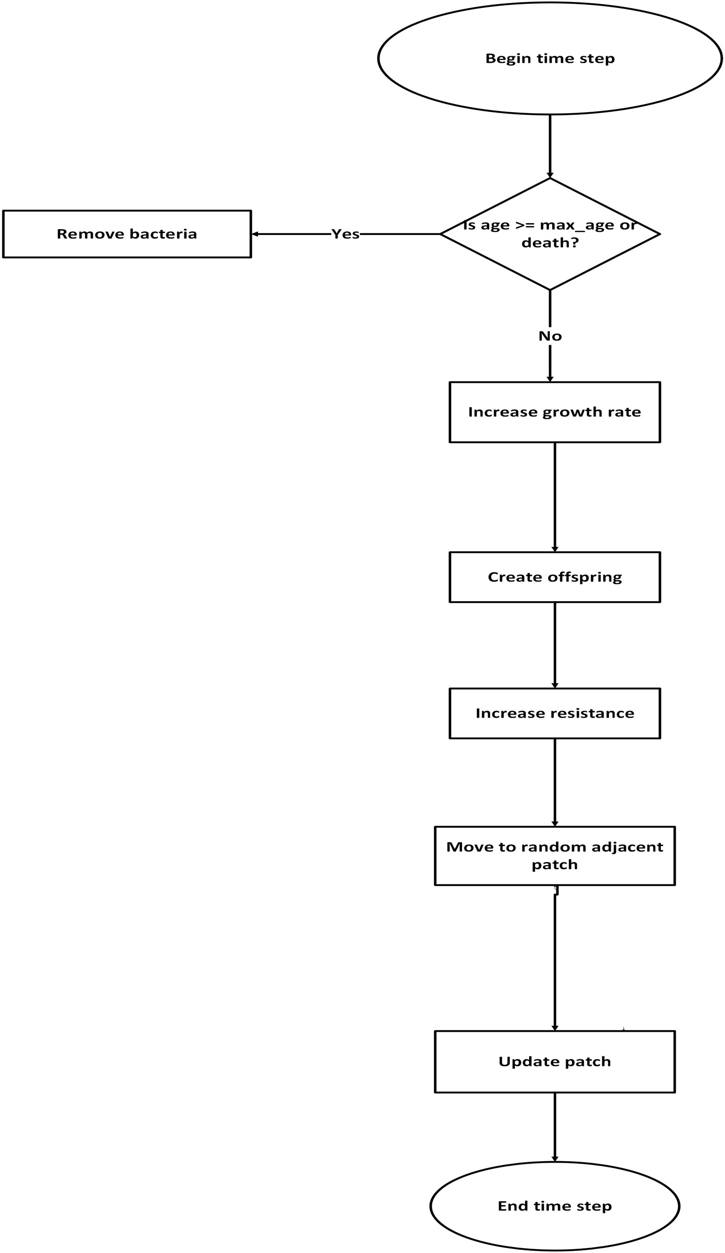 Figure 1: Flowchart of ABM simulation for bacterial dynamics.