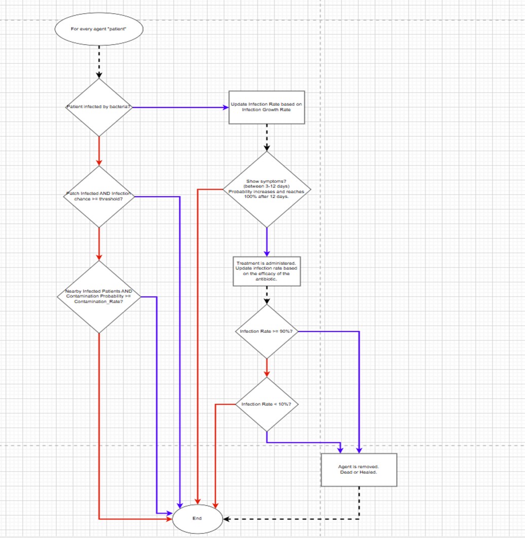 Figure 2: Flowchart of ABM simulation for bacterial development on human agents.